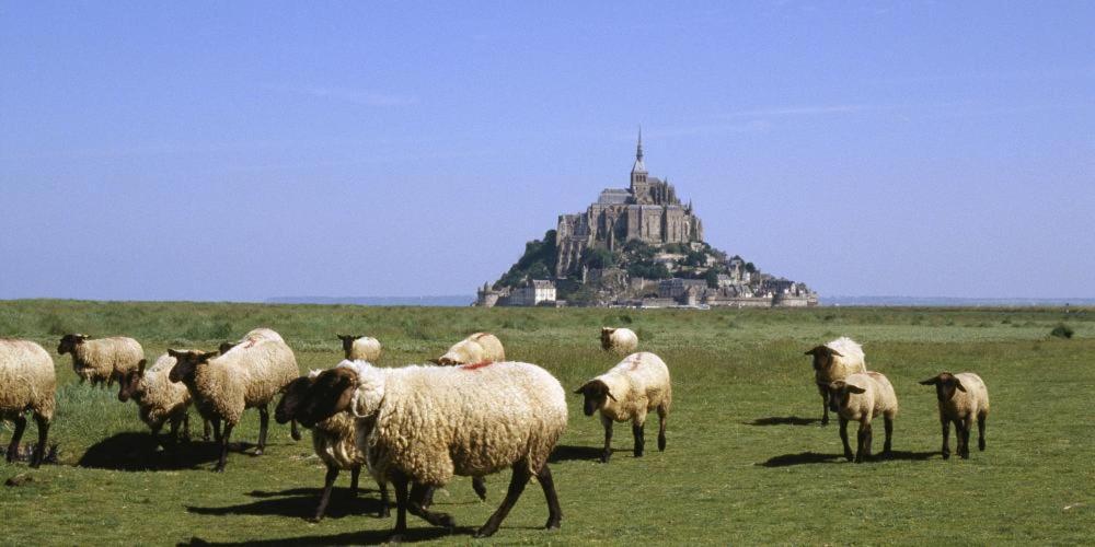 Chambres D'Hotes Avec Piscine Aux Agapanthes De Cromel - Mont Saint Michel Ngoại thất bức ảnh
